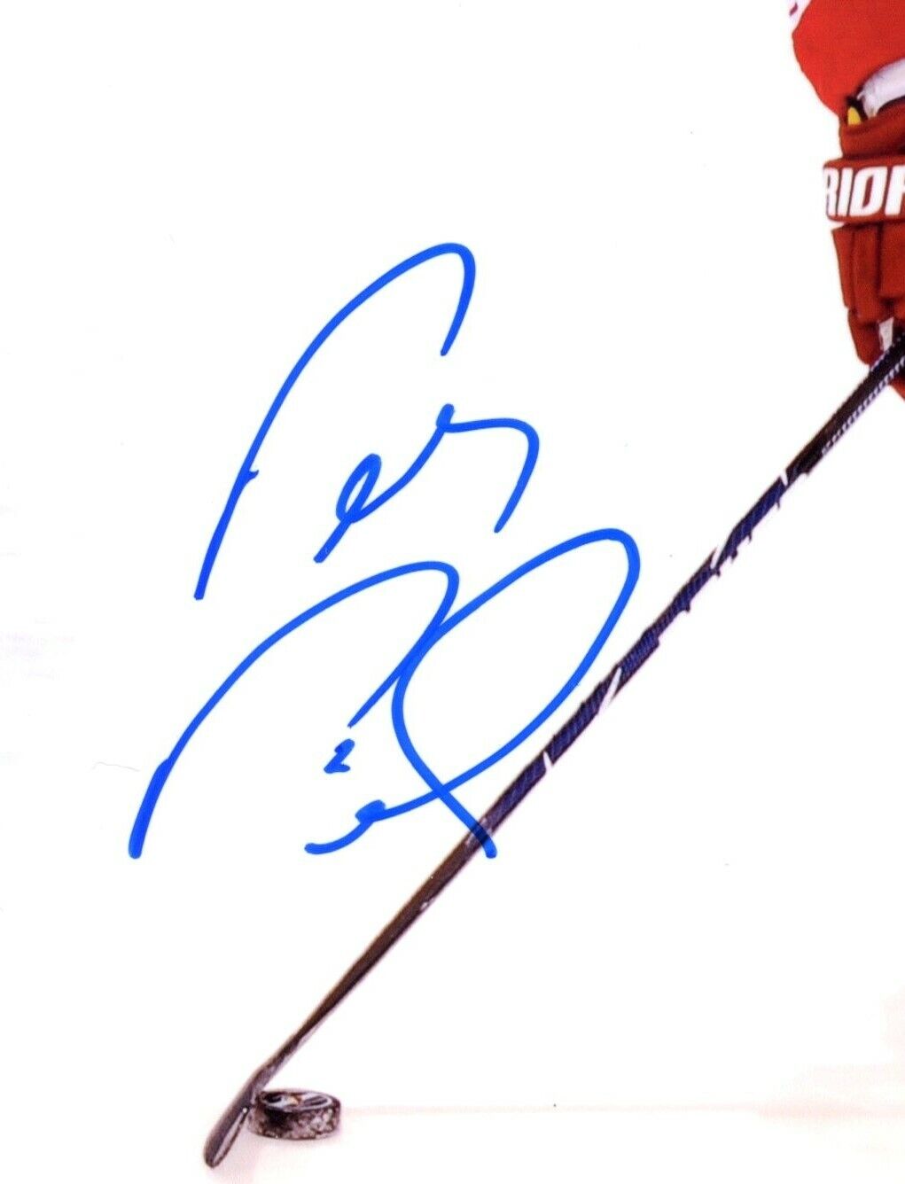 Petr Prucha Phoenix Coyotes Signed/Autographed 8x10 Photo 153058