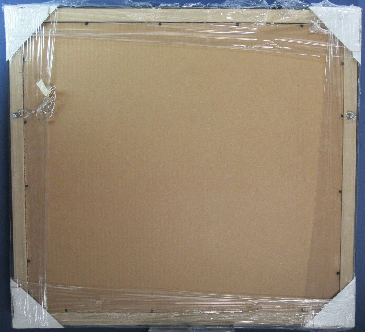 Phillies Horizontal 16"x20" Photo DIY NEW Frame Kit  w/ Red/Blue Border 188685