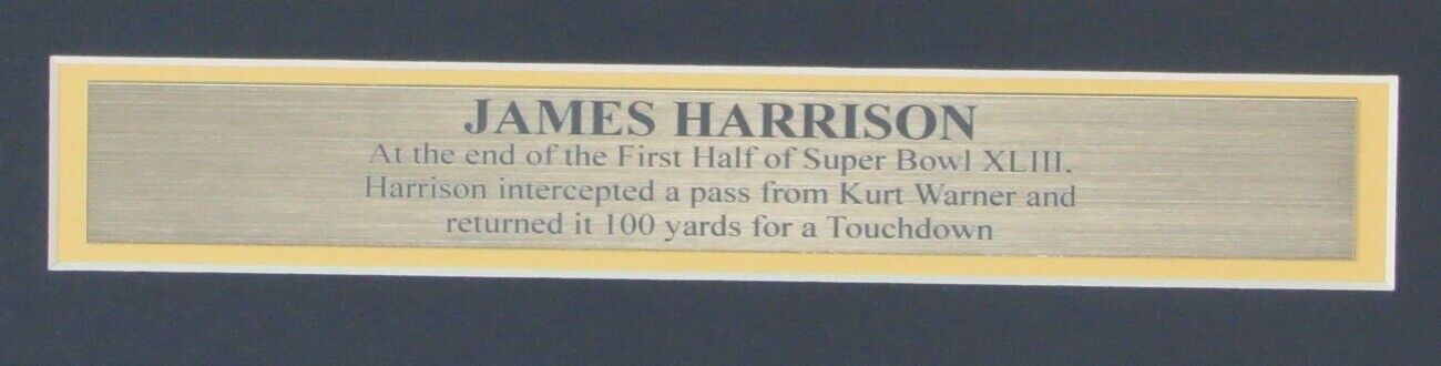 James Harrison Steelers Signed/Autographed 16x20 Photo Framed Beckett 155627