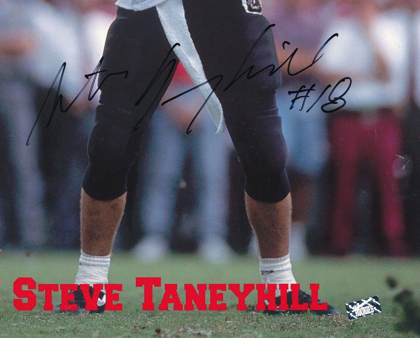 Steve Taneyhill Autographed Signature Rookies 8x10 Photo South Carolina