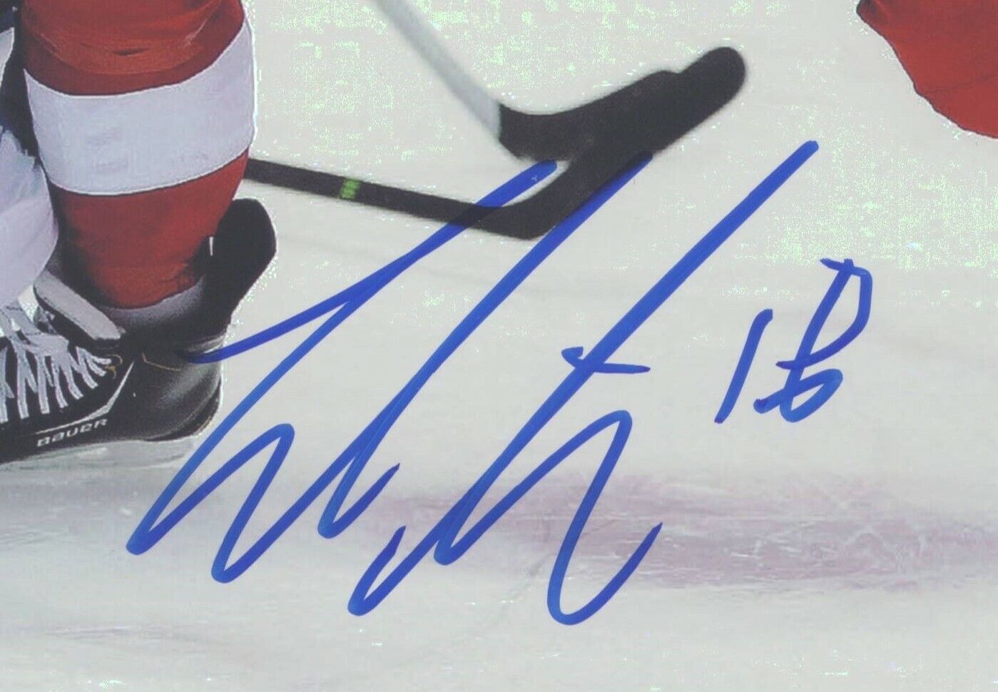 Joakim Andersson Detroit Red Wings Signed/Autographed 8x10 Photo 152502