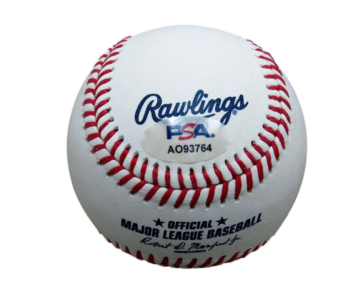 Bobby Witt Jr. Signed/Autographed OML Baseball Kansas City Royals PSA/DNA 194343