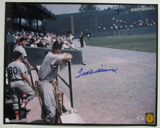 Ted Williams HOF Signed/Autographed 16x20 Photo Boston Red Sox PSA/DNA 192809