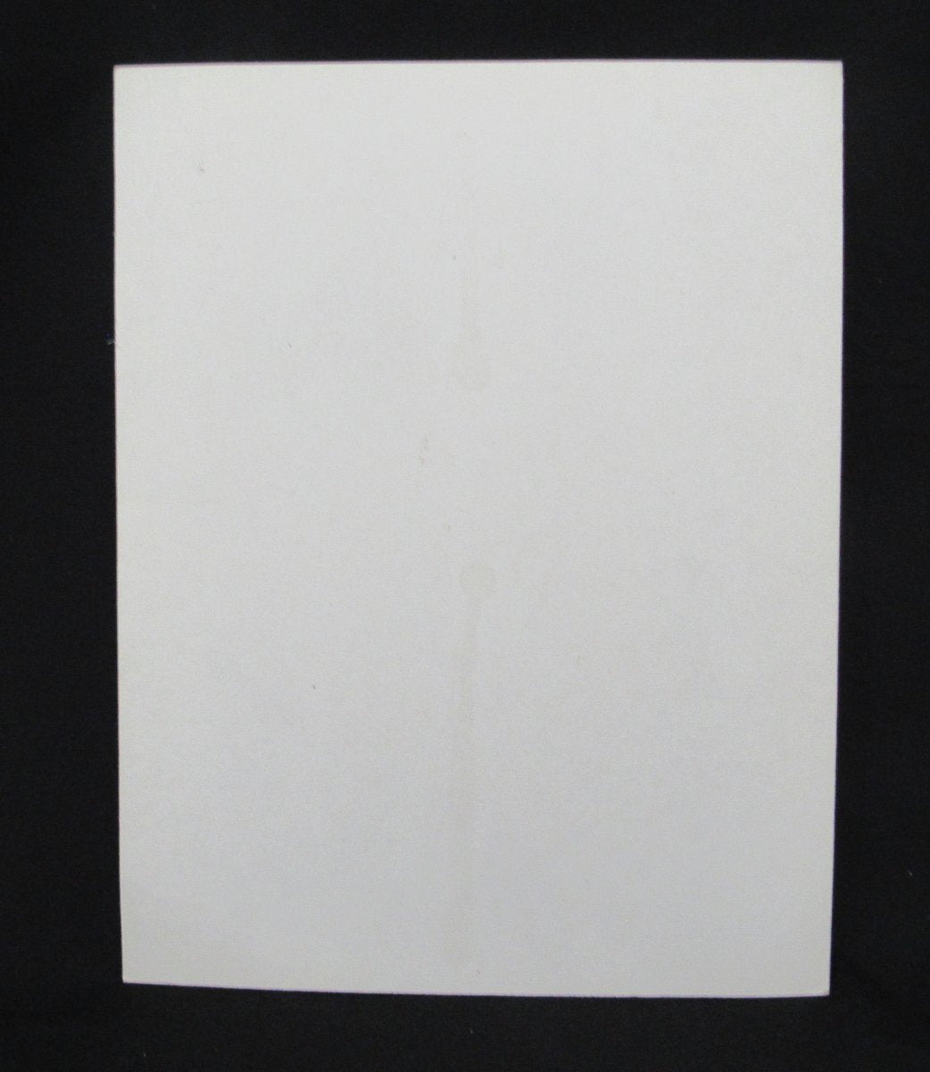 David Halberstam "October 1964" Book Mickey Mantle 12x15 Store Display 195617