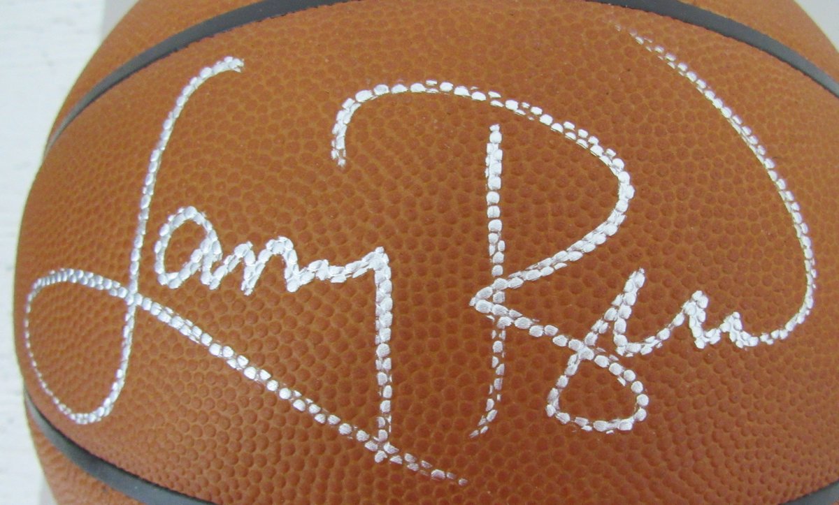 Larry Bird HOF Signed Wilson NBA Leather Game Basketball Celtics PSA/DNA 198610