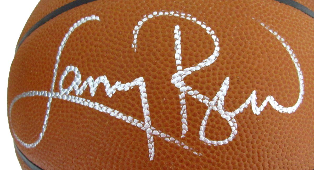 Larry Bird HOF Signed Wilson NBA Leather Game Basketball Celtics PSA/DNA 198611