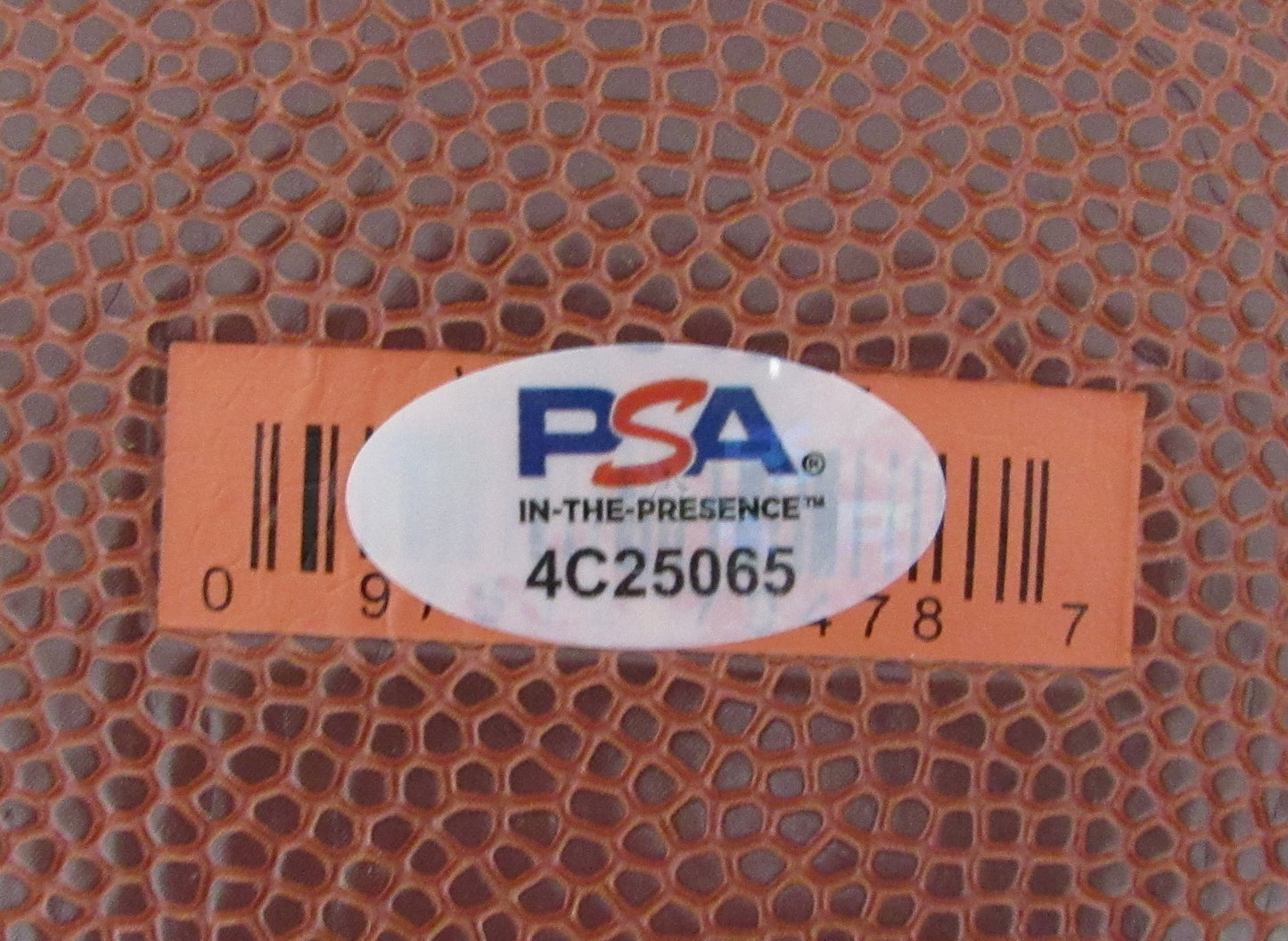 Larry Bird HOF Signed/Auto Wilson NBA Celtics Logo Basketball PSA/DNA 200498