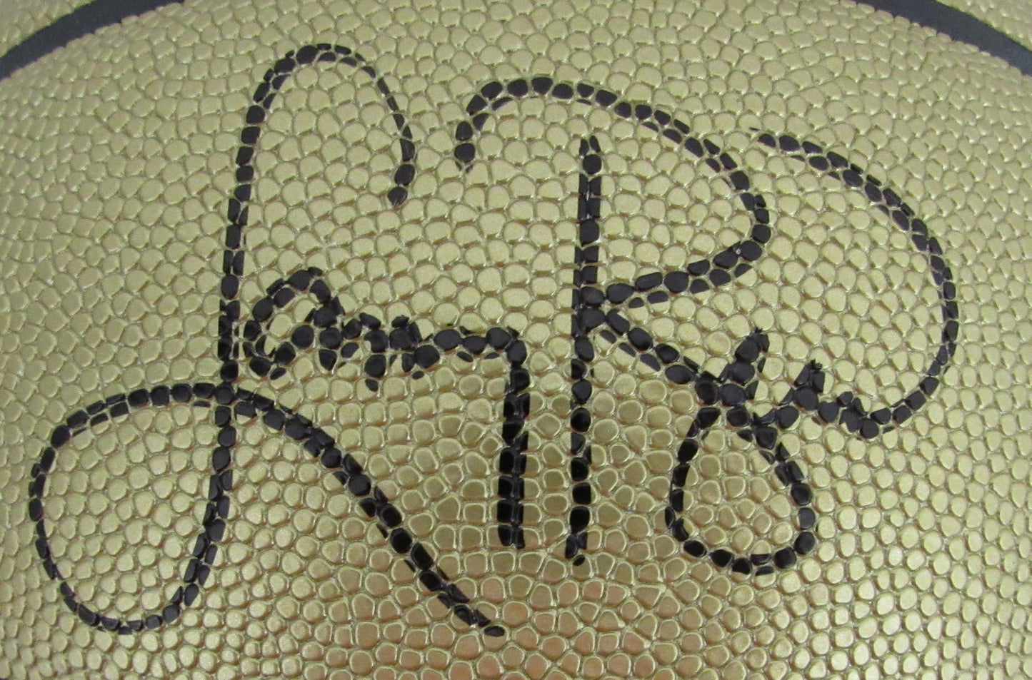 Larry Bird HOF Signed Wilson Gold Edition NBA Basketball Celtics PSA/DNA 200499
