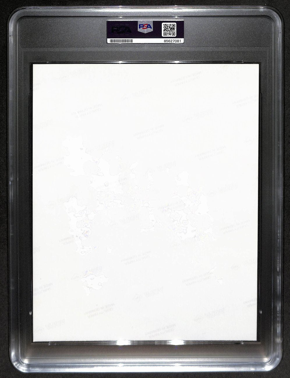 Arnold Schwarzenegger Signed/Autographed 8x10 Photo PSA/DNA/Beckett 200226