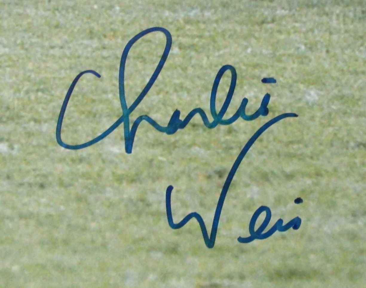 Charlie Weis Signed/Autographed 16x20 Photo Notre Dame Steiner 201046