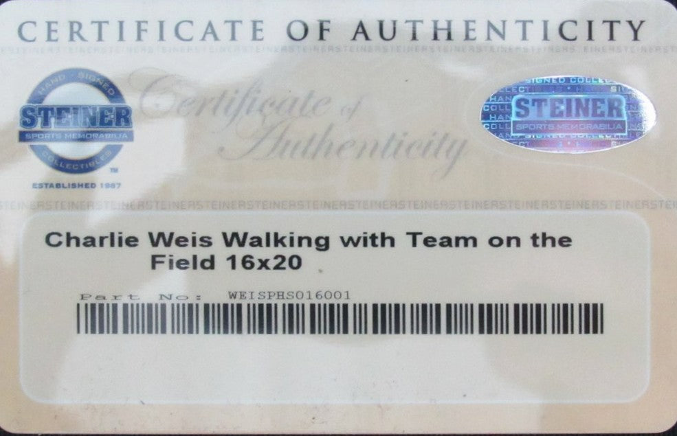 Charlie Weis Signed/Autographed 16x20 Photo Notre Dame Steiner 201046