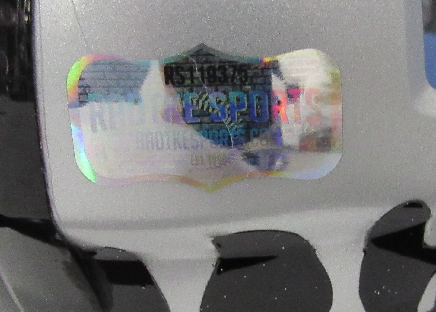 Sabastian Janikowski Signed/Auto Raiders Silver Mini Helmet Radtke 200941