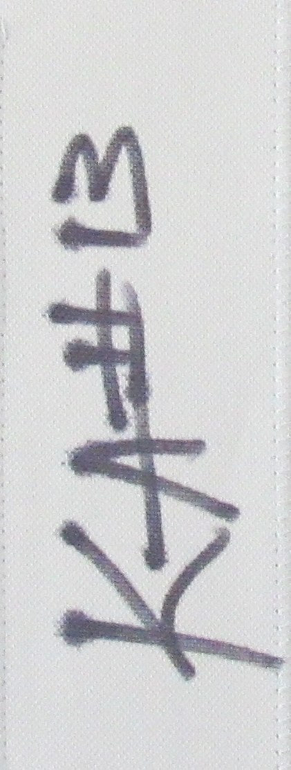 Kaytron Allen Signed Custom Football Jersey Penn State Framed PSA/DNA 203228