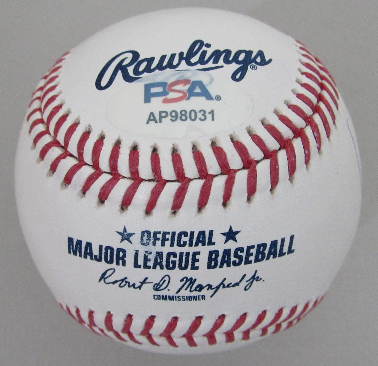 Steven Tyler Aerosmith Signed/Autographed OML Baseball PSA/DNA 203538