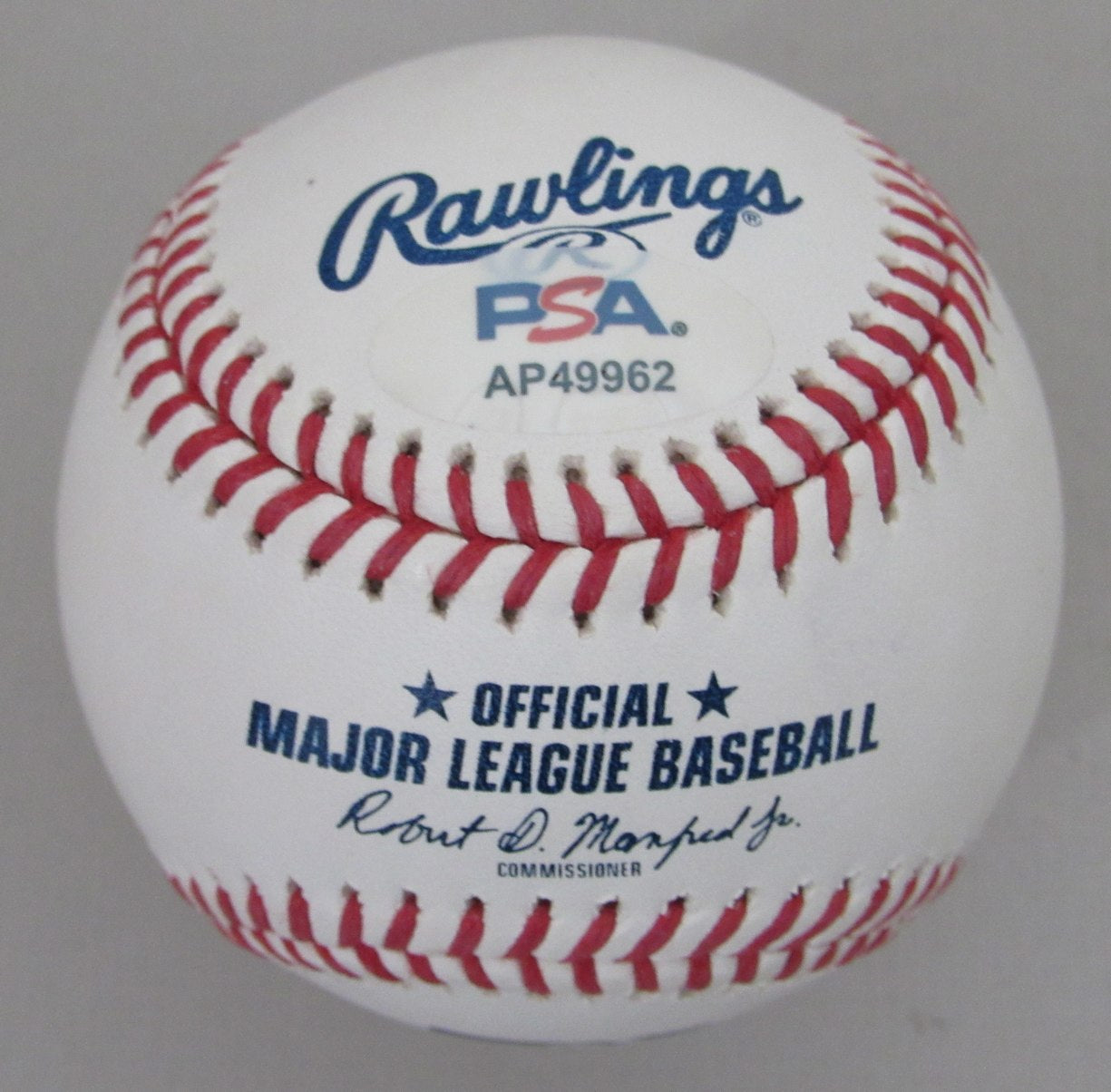 Jose Altuve Signed/Autographed OML Baseball Houston Astros PSA/DNA 203559