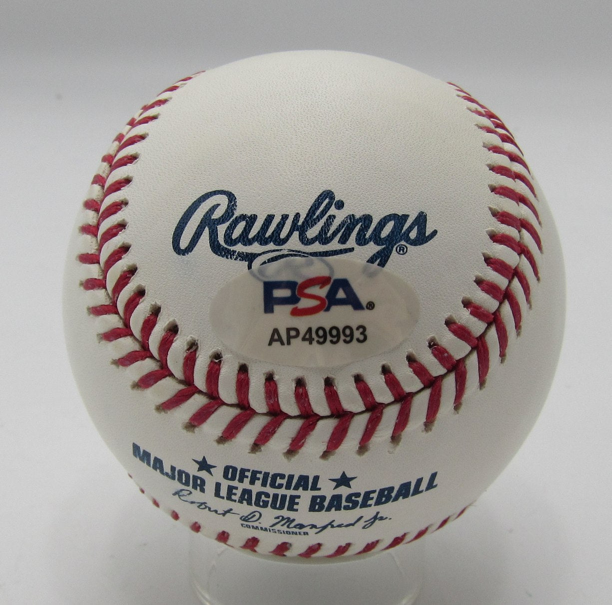 Dustin Pedroia Signed/Autographed OML Baseball Boston Red Sox PSA/DNA 203578