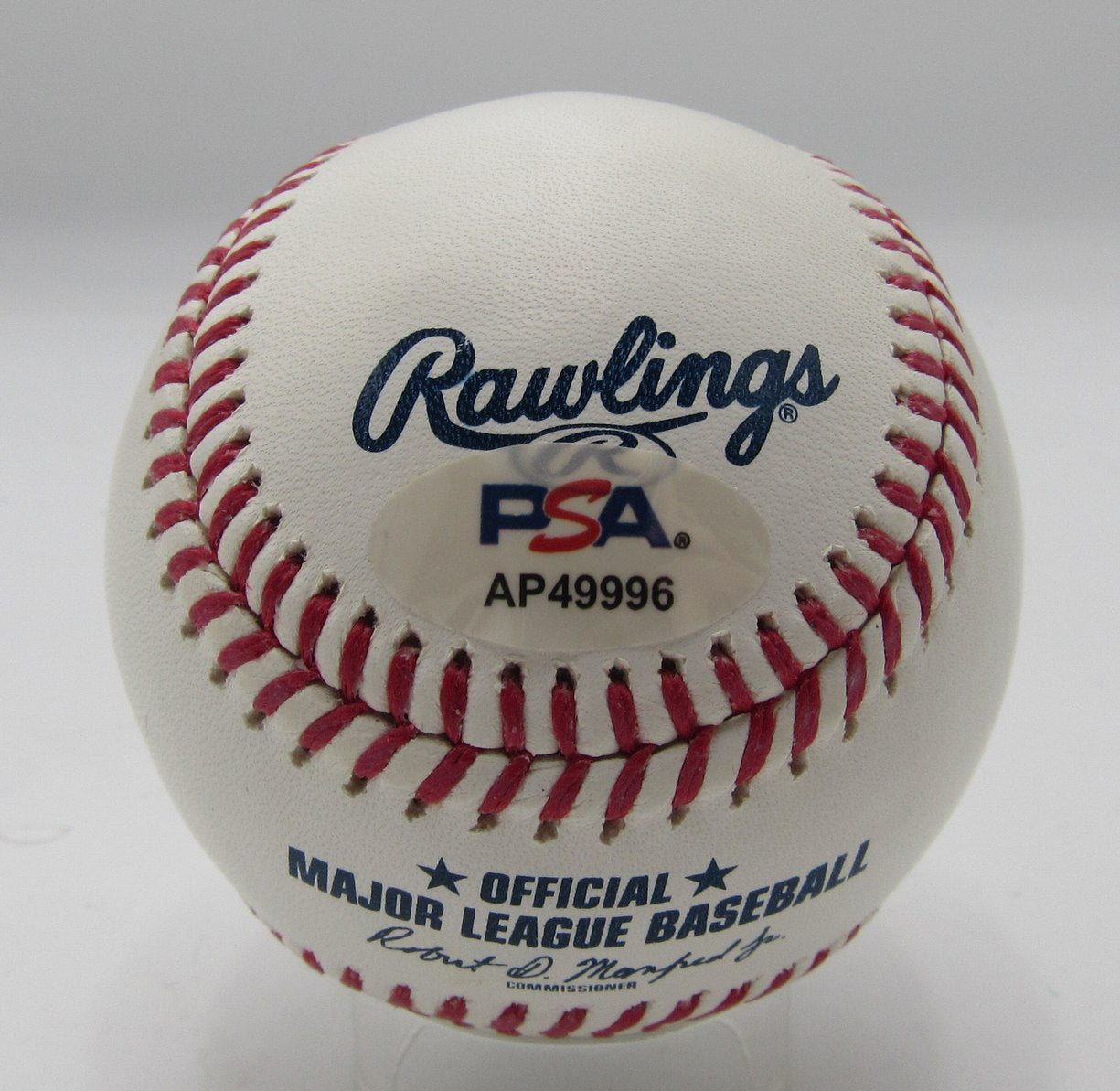 Dustin Pedroia Signed/Autographed OML Baseball Boston Red Sox PSA/DNA 203581