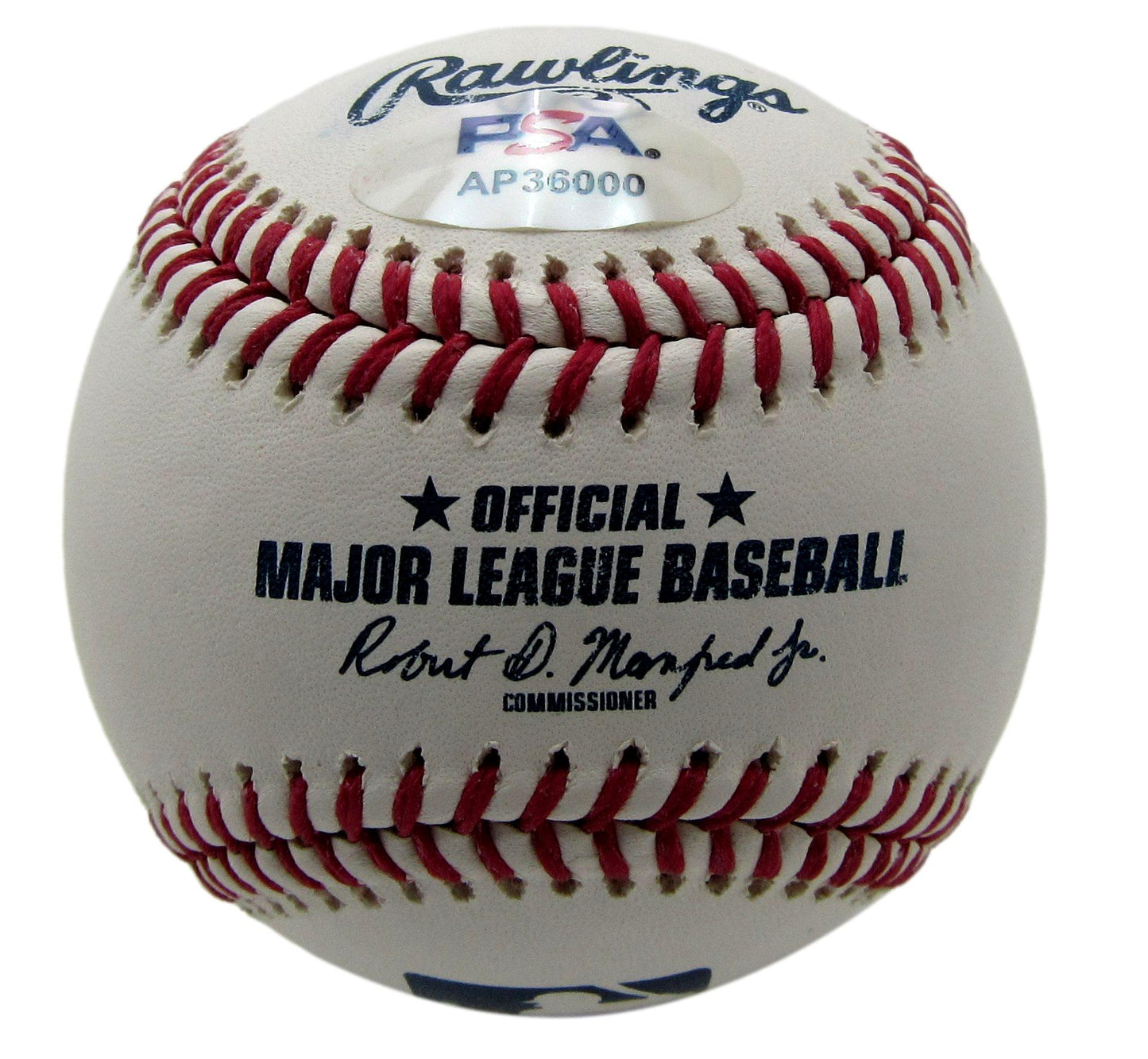 Adley Rutschman Signed/Autographed OML Baseball Orioles PSA/DNA 200208