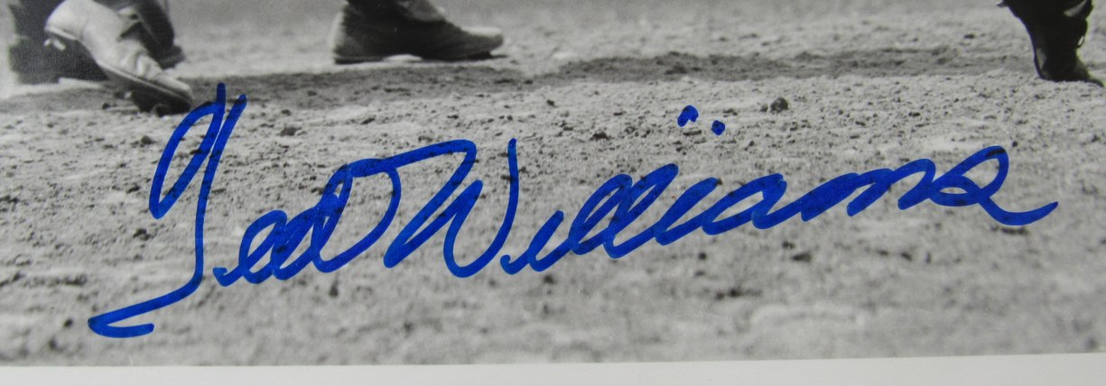 Ted Williams HOF Signed/Autographed 16x20 Photo Boston Red Sox PSA/DNA 205667