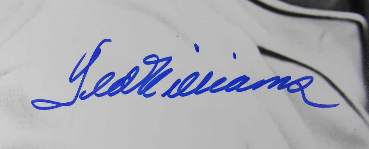 Ted Williams HOF Signed/Autographed 16x20 Photo Boston Red Sox PSA/DNA 205670