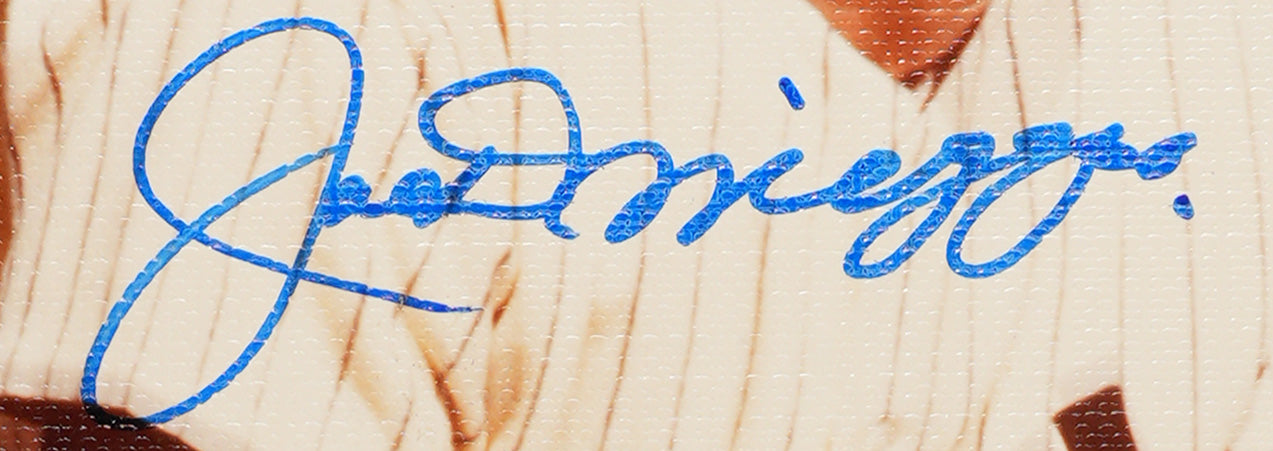 Joe DiMaggio HOF Signed/Autographed 11x14 Canvas Photo PSA/DNA 205163