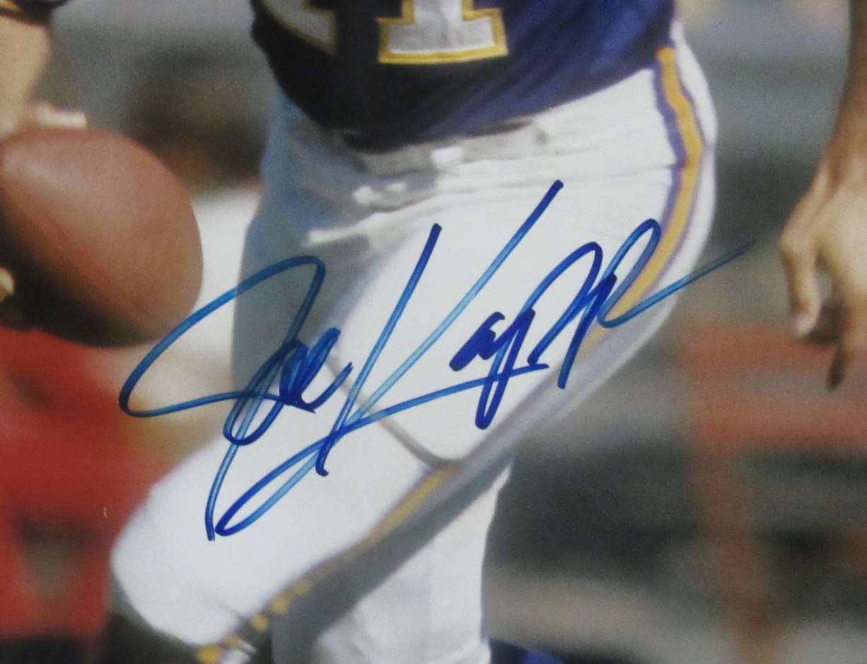 Joe Kapp Signed/Autographed 16x20 Photo Minnesota Vikings PSA/DNA 205677