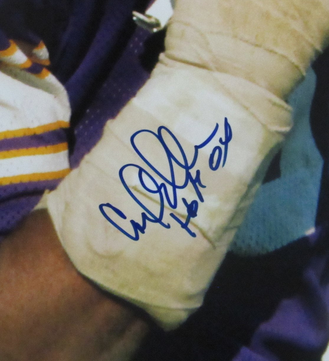 Carl Eller HOF Signed/Inscribed 16x20 Photo Minnesota Vikings PSA/DNA 205678