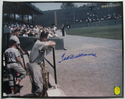 Ted Williams HOF Red Sox Signed 16x20 Photo Green Diamond Hologram TWF 209969