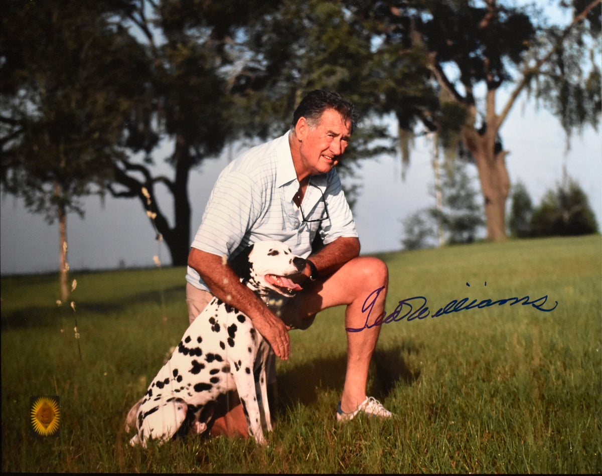 Ted Williams HOF Red Sox Signed 16x20 Photo Green Diamond Hologram TWF 209977