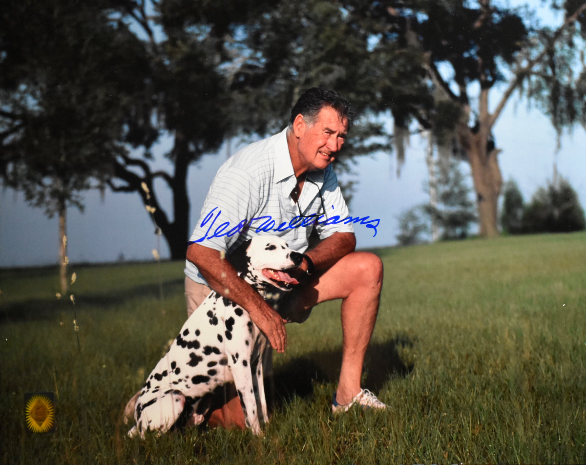 Ted Williams HOF Red Sox Signed 16x20 Photo Green Diamond Hologram TWF 209979