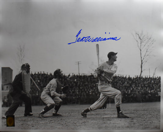 Ted Williams HOF Red Sox Signed 16x20 Photo Green Diamond Hologram TWF 209984