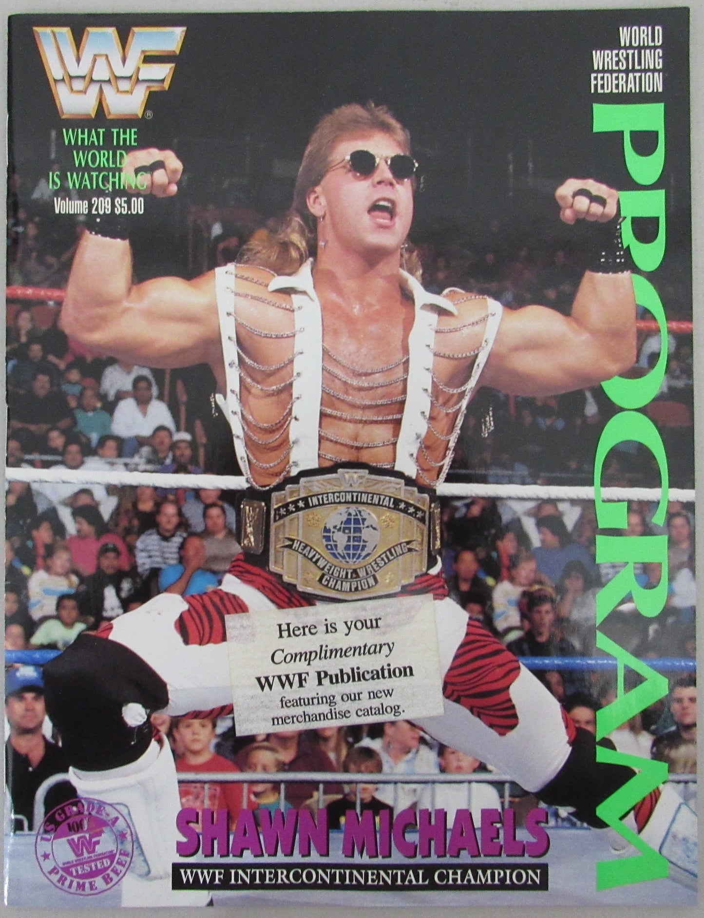 1993 WWF Program Shawn Michaels on Cover 210260