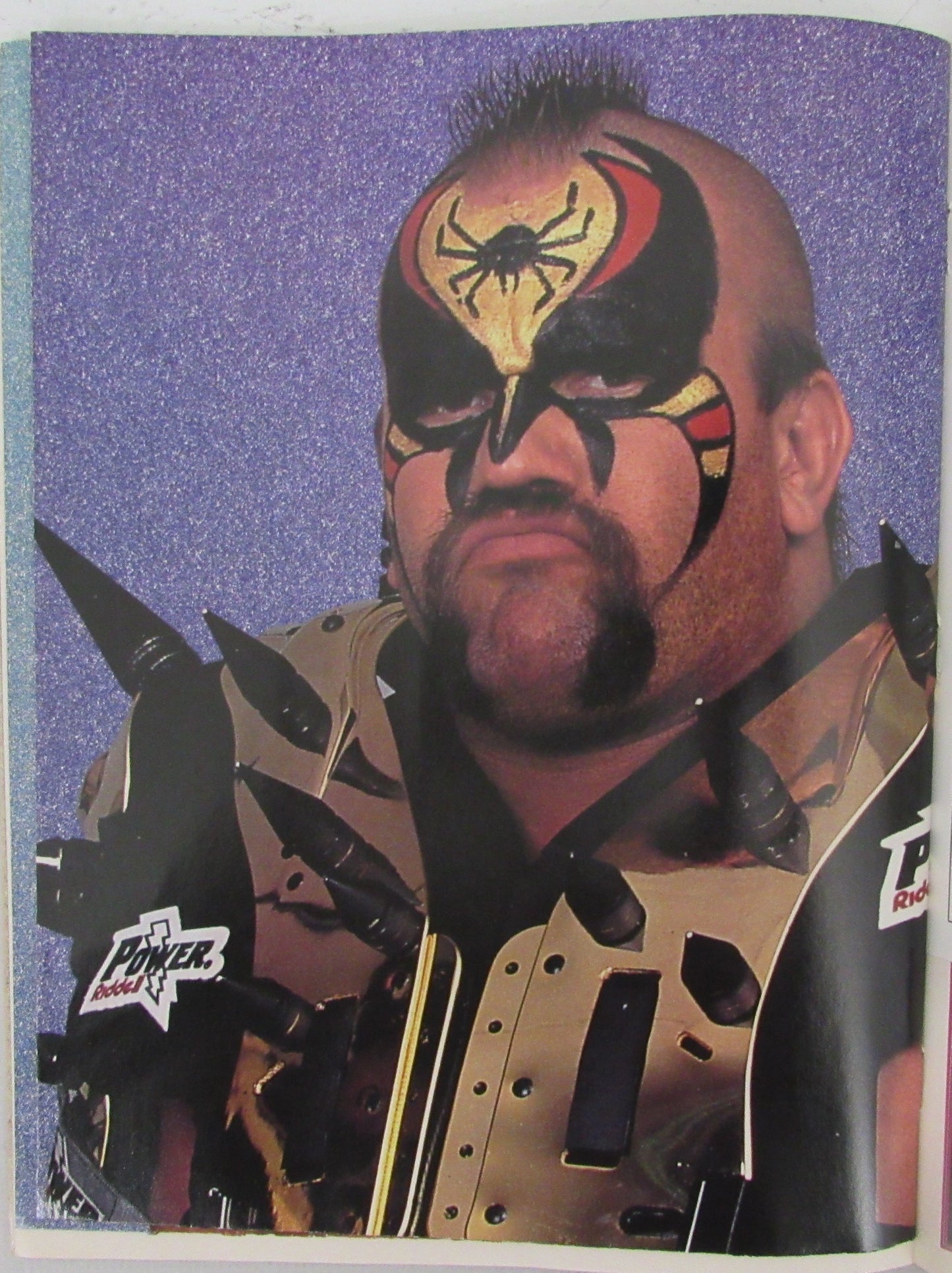 1991 WWF Spotlight Magazine Legion of Doom on Cover NOLABEL 210267