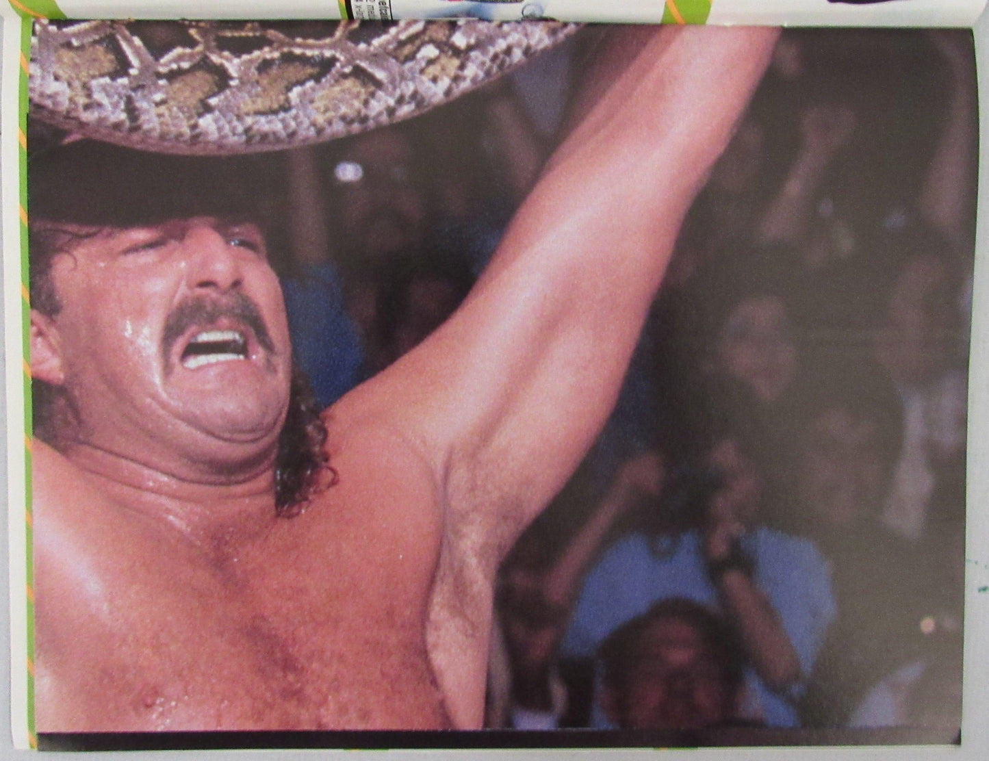 1990 WWF Spotlight Magazine Jake "The Snake" Roberts on Cover NOLABEL 210268