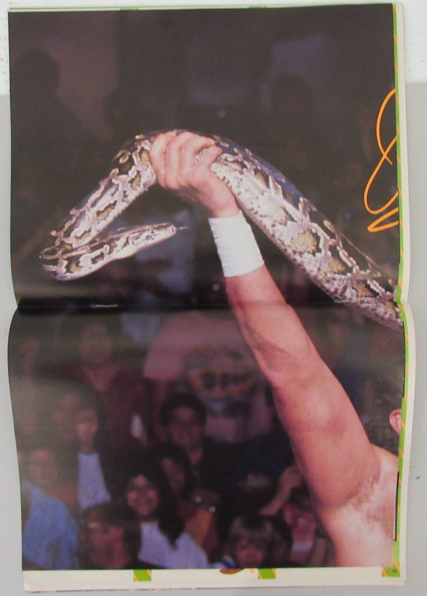 1990 WWF Spotlight Magazine Jake "The Snake" Roberts on Cover NOLABEL 210268