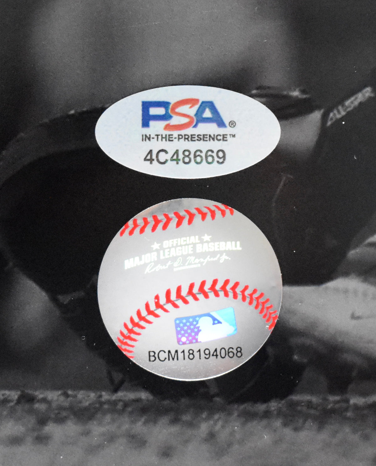Kyle Schwarber Signed/Auto 16x20 Photo Philadelphia Phillies PSA/DNA 209991