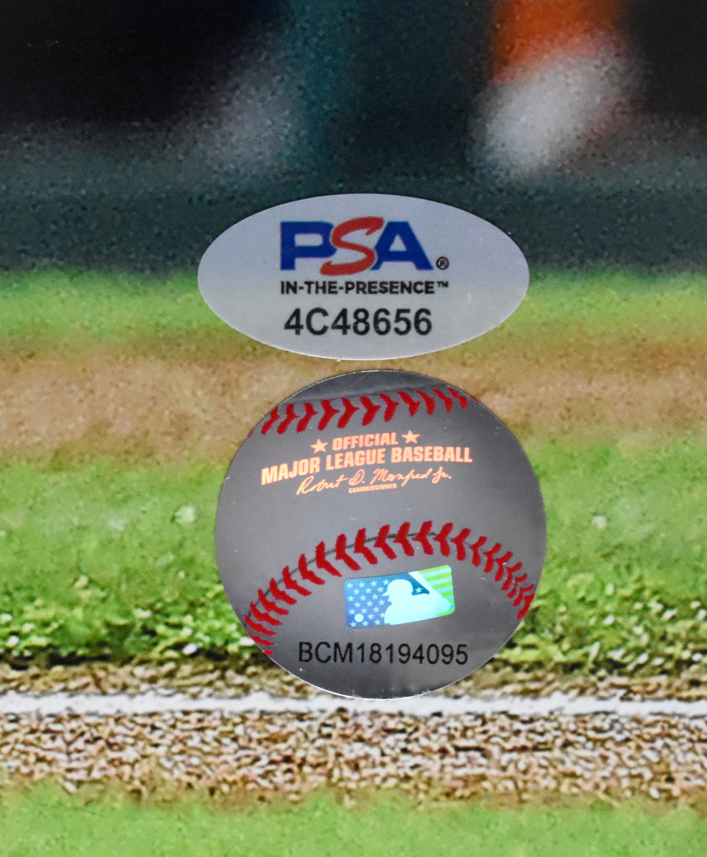 Kyle Schwarber Signed/Auto 16x20 Photo Philadelphia Phillies PSA/DNA 209995