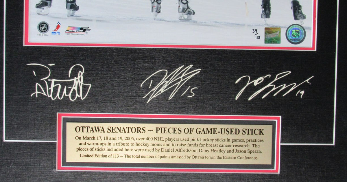 2006 Ottawa Senators Game Used Stick Pieces 19x23 Matted/Framed Photo IXL12