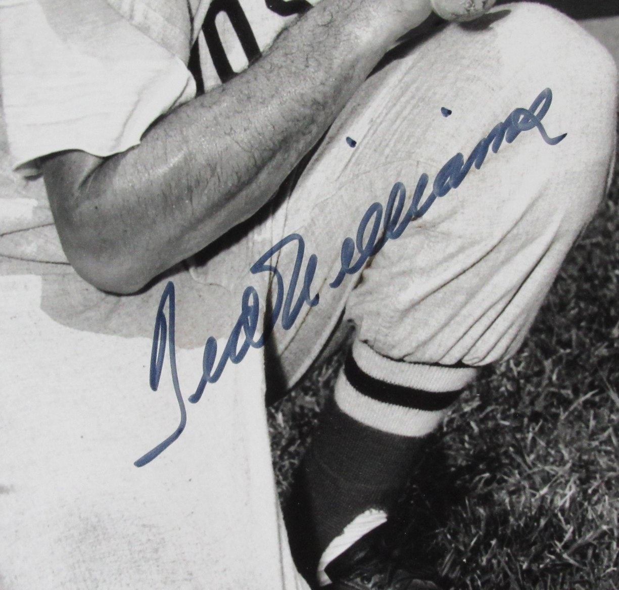 Ted Williams HOF Signed/Auto 16x20 B/W Photo Red Sox Framed PSA/DNA GSM 209964