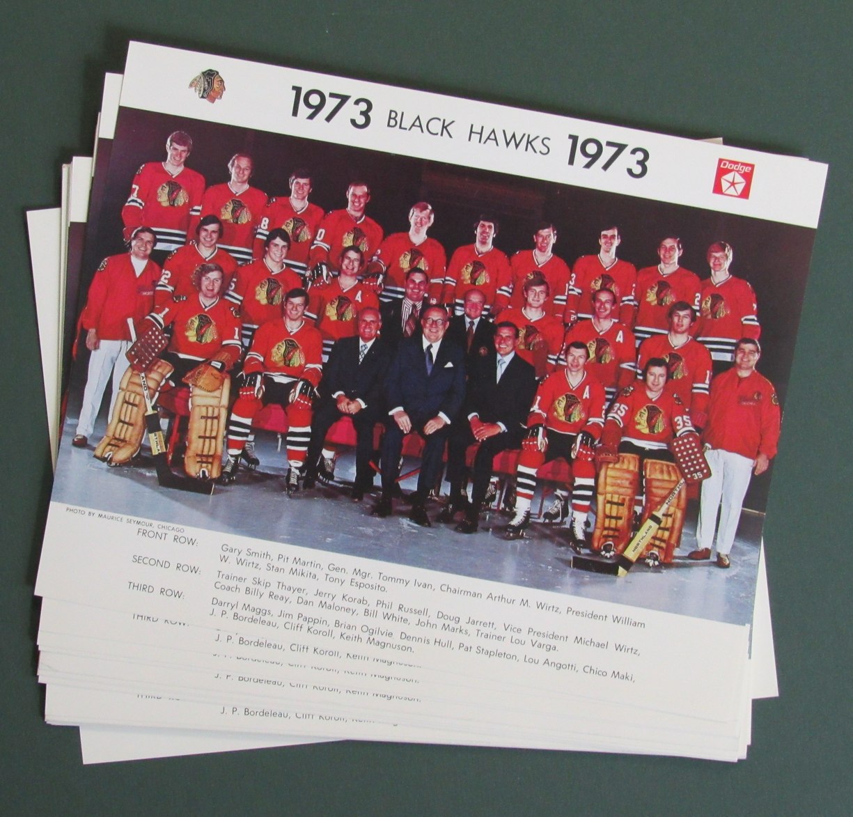 Lot of (25) 8x10 Chicago Black Hawks Team Photo Dodge 212528