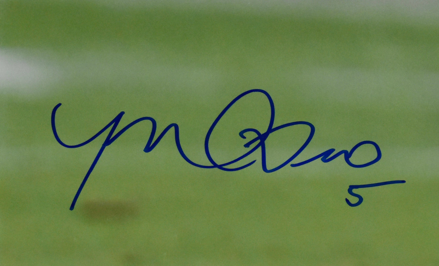 Manti Teʻo Signed/Autographed 16x20 Photo Notre Dame JSA 212443