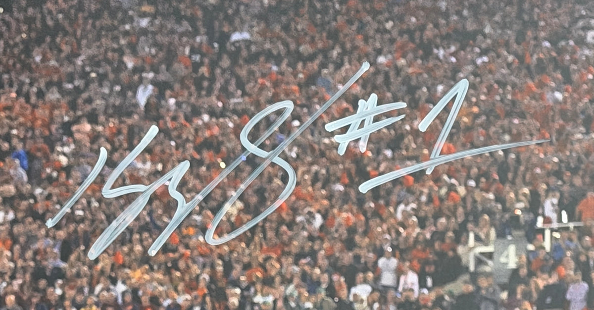 Kelvin Benjamin Signed/Autographed 16x20 Photo Florida State JSA 212444