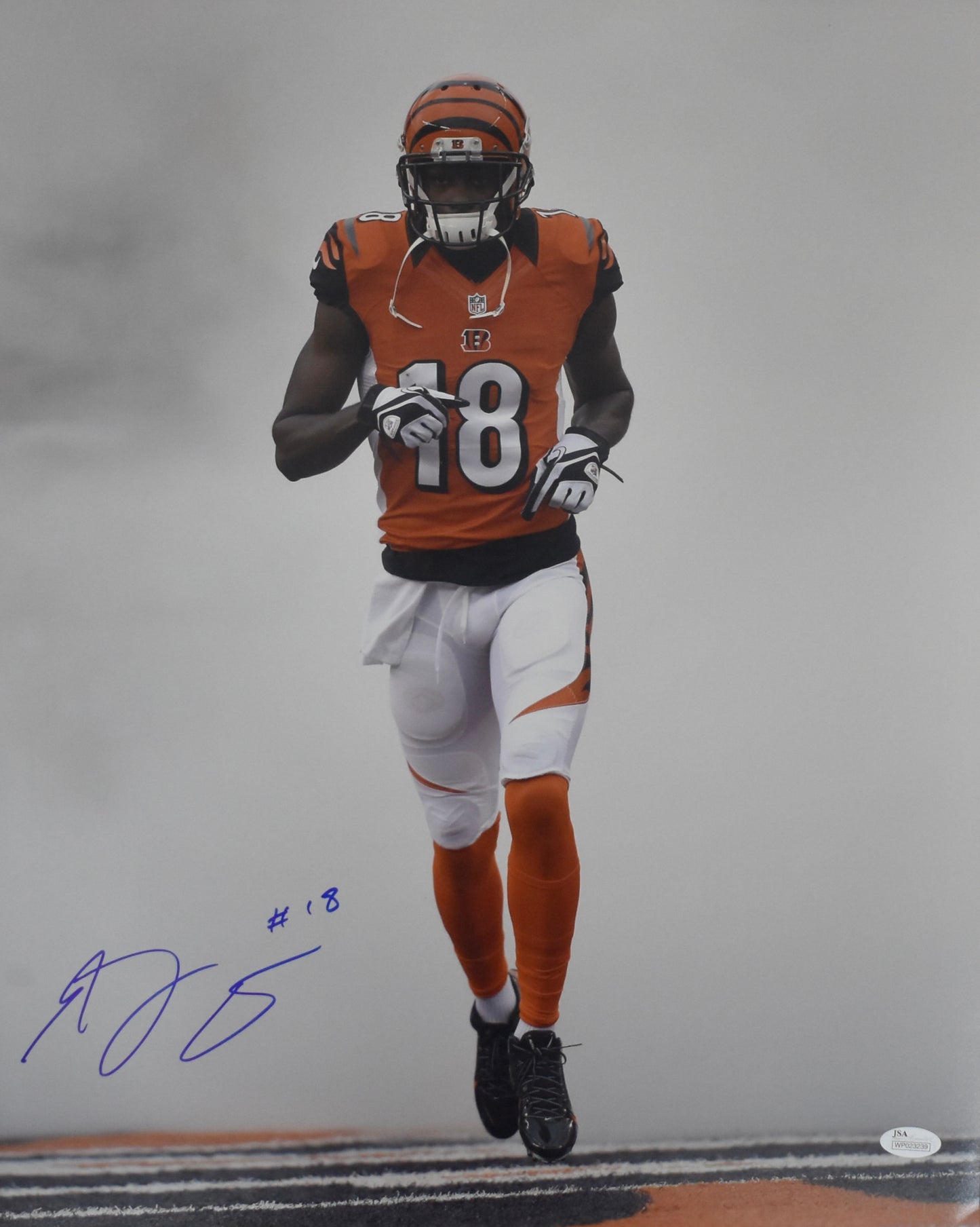 AJ Green Signed/Autographed 16x20 Photo Bengals JSA BA212465