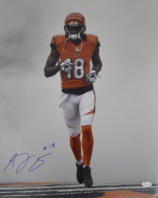 AJ Green Signed/Autographed 16x20 Photo Bengals JSA BA212465