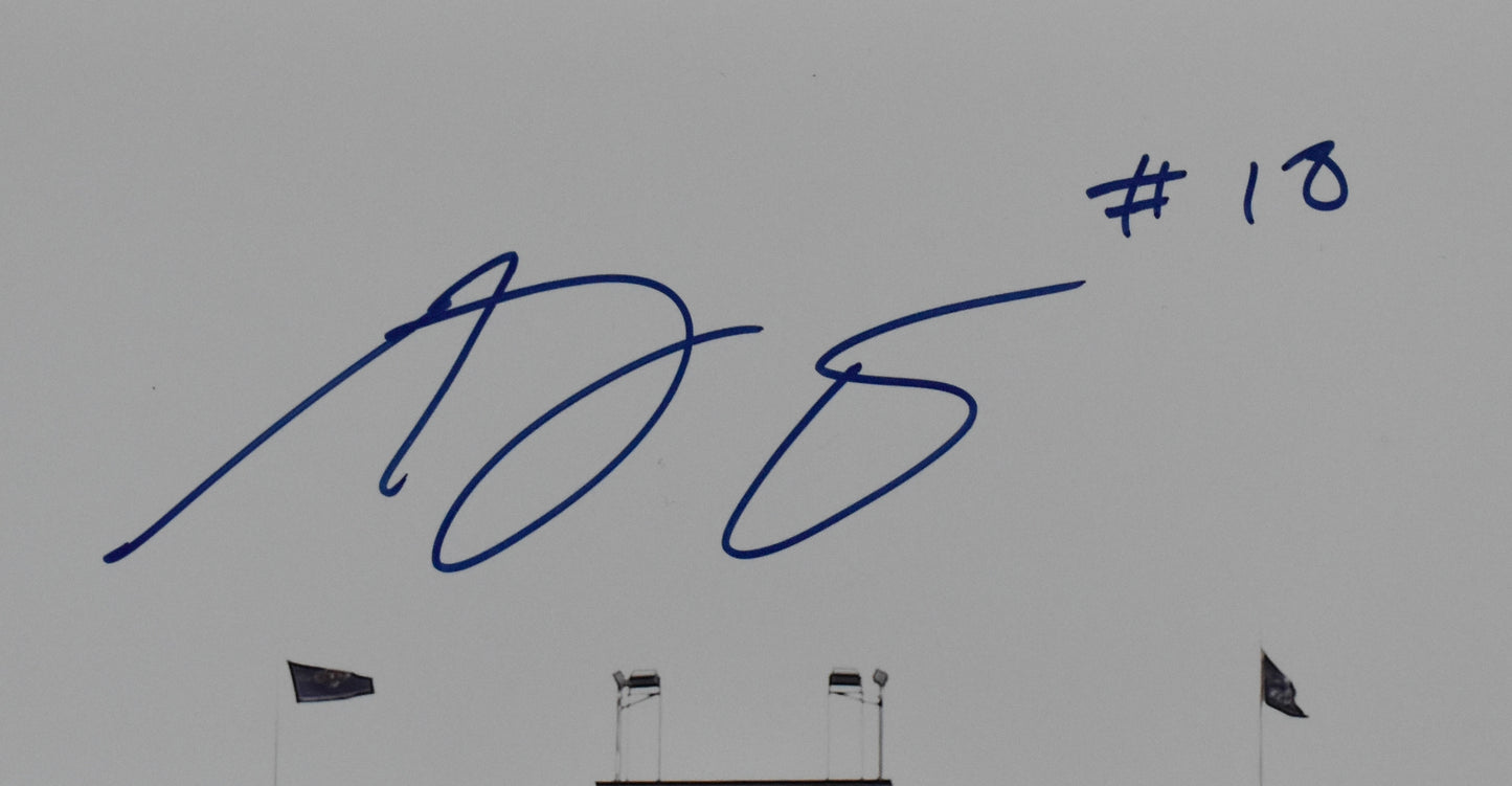 AJ Green Signed/Autographed 16x20 Photo Bengals JSA BA212469