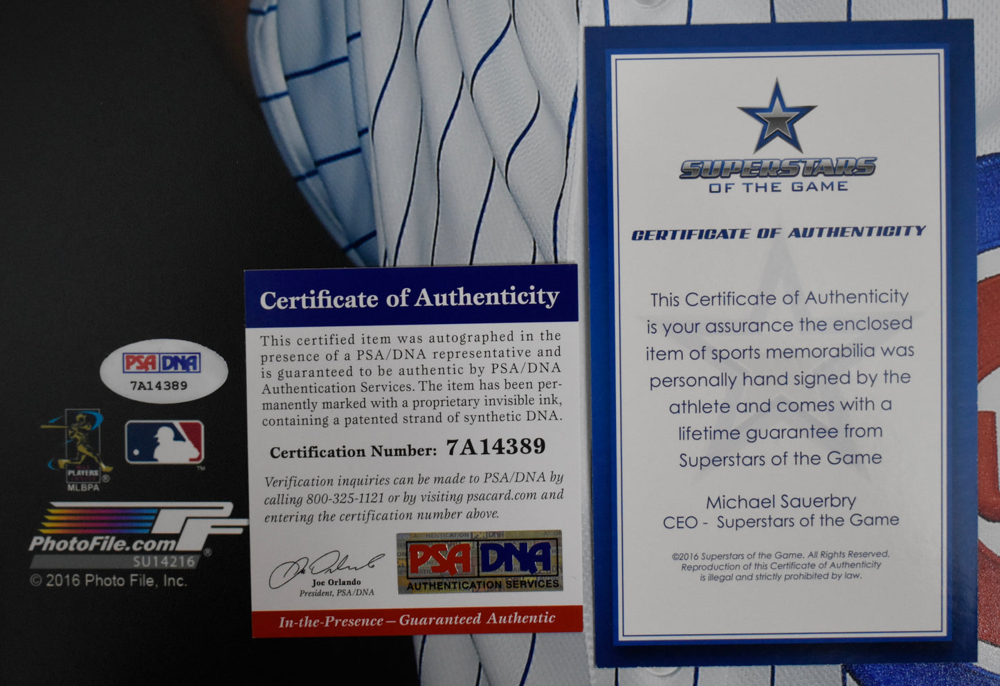 Ben Zobrist Signed/Autographed 16x20 Photo Cubs PSA/DNA BA212470