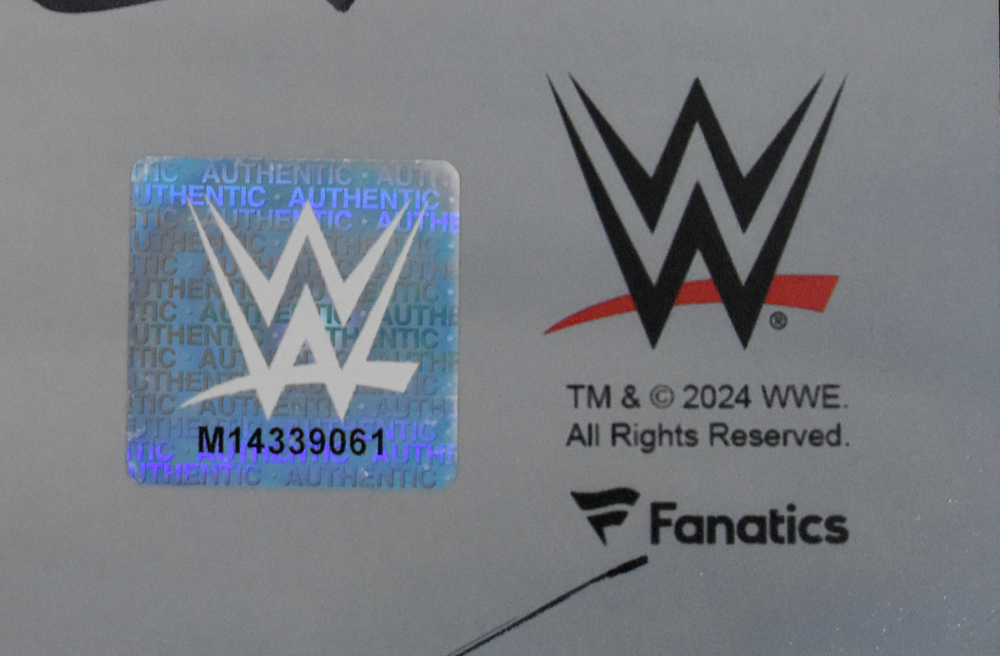 Bianca Belair & Jad Cargill Signed/Autographed 16x20 Photo WWE Fanatics BA212472