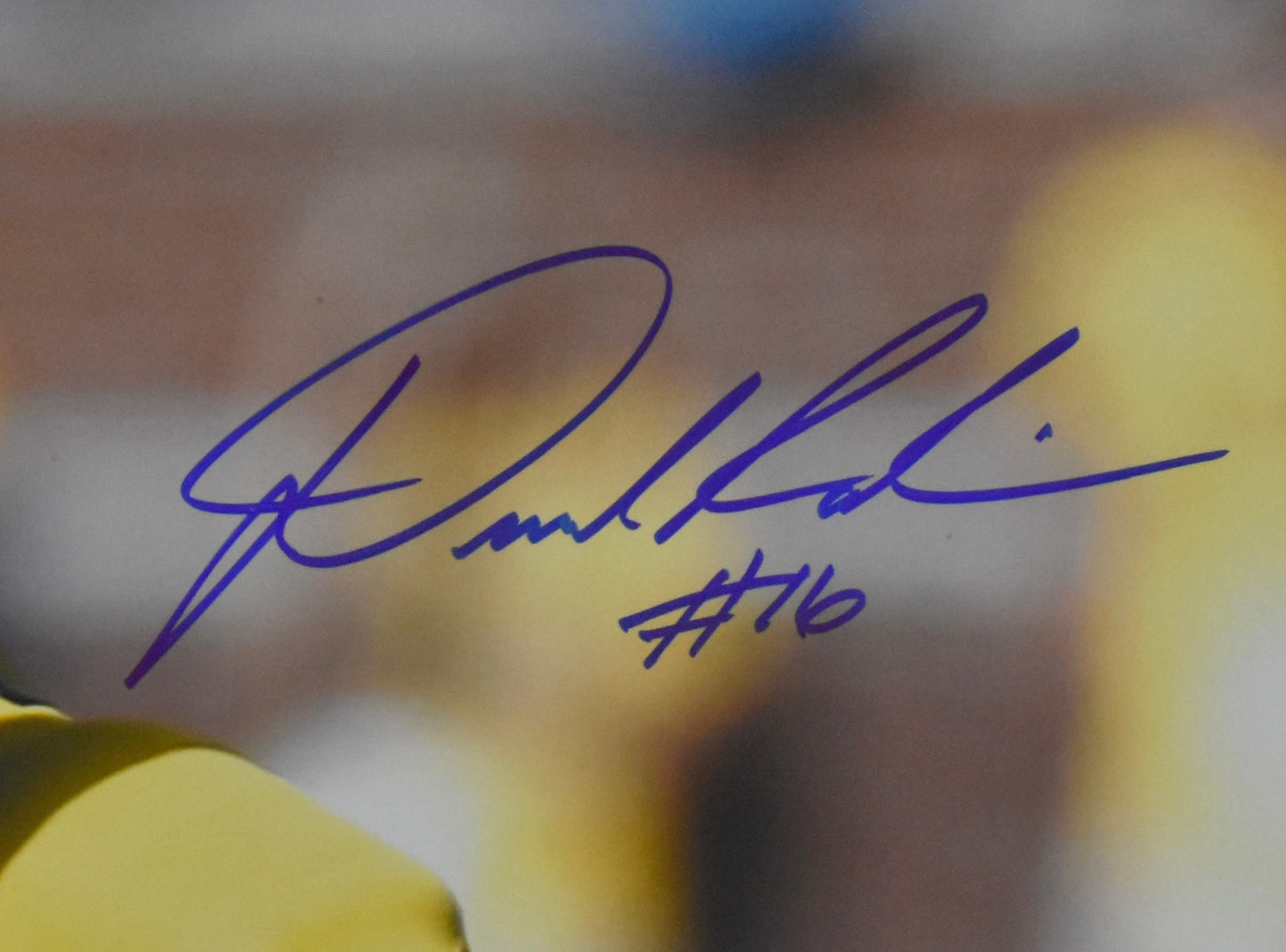 Denard Robinson Signed/Autographed 16x20 Photo Michigan JSA 212010