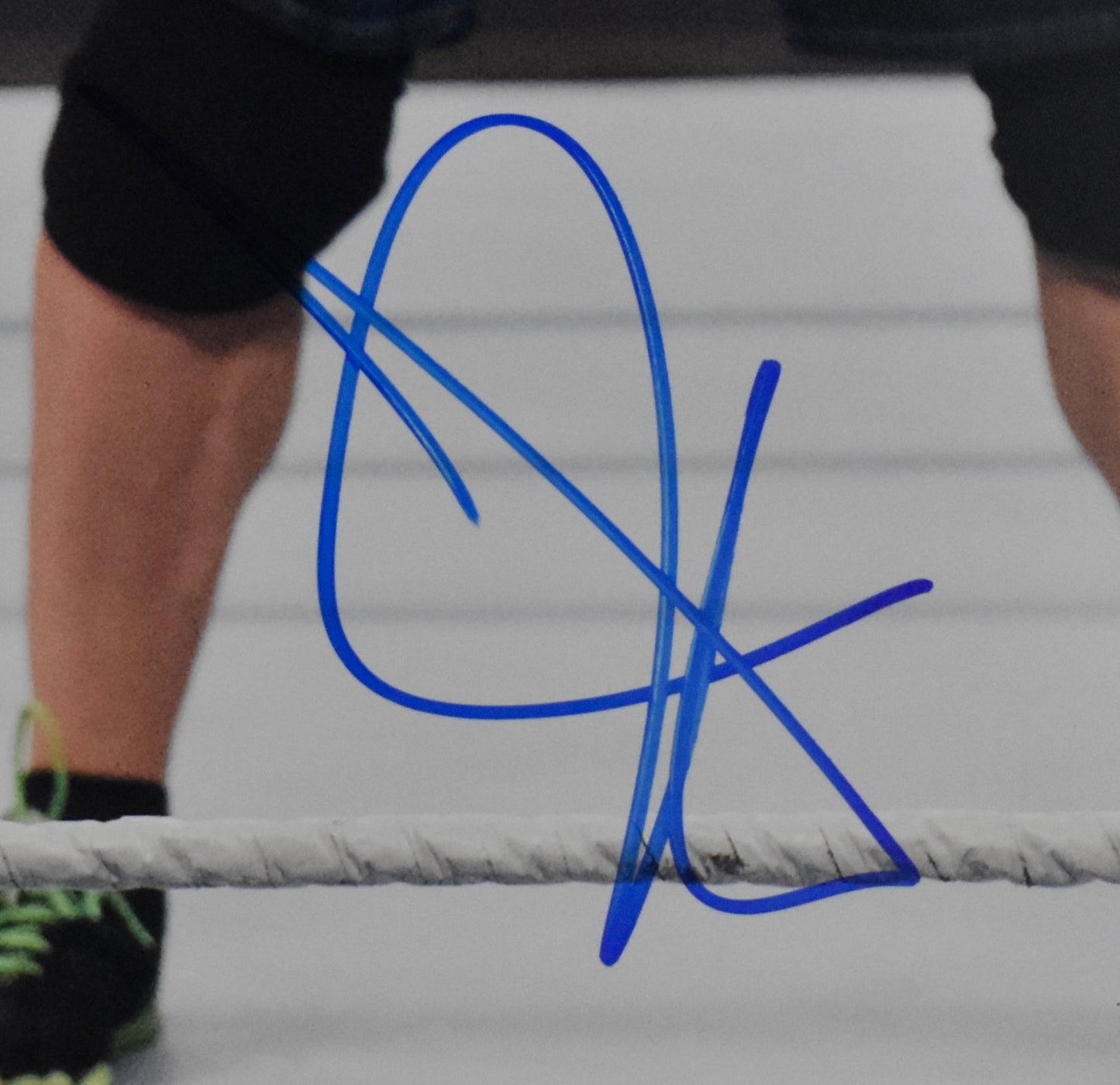 John Cena Signed/Autographed 16x20 Photo WWE WWF JSA 212507