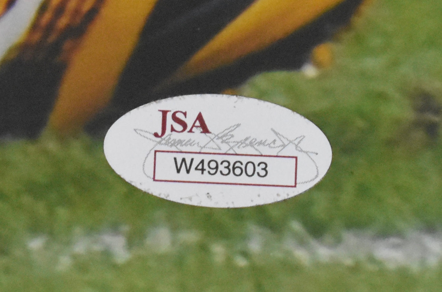 Brian Orakpo Signed/Autographed 16x20 Photo Redskins JSA 212511